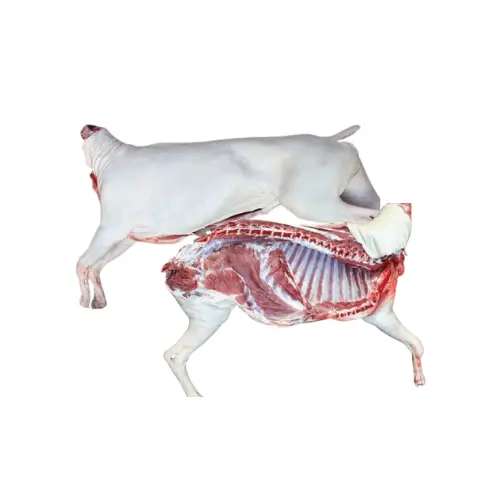 Dê Tươi Móc Hàm Tươi Sống Giá Tốt