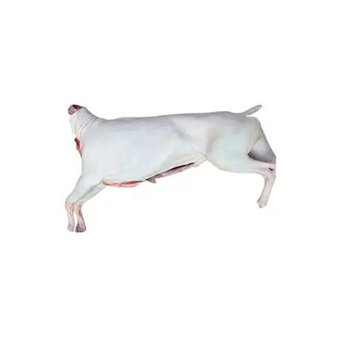 Dê Tươi Móc Hàm Tươi Sống Giá Tốt