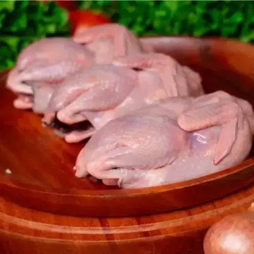 Chim Bồ Câu Thịt Làm Sạch Tươi Ngon