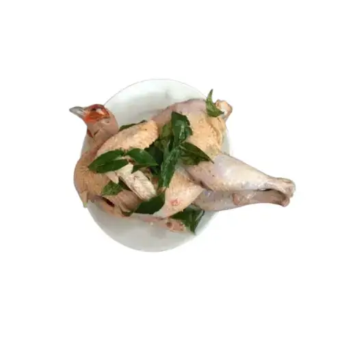 Chim Trĩ Thịt Làm Sạch Tươi Ngon