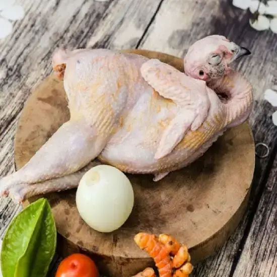 Chim Trĩ Thịt Làm Sạch Tươi Ngon