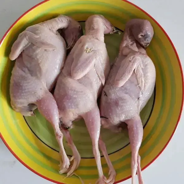 Chim Cút Thịt Làm Sạch Tươi Ngon