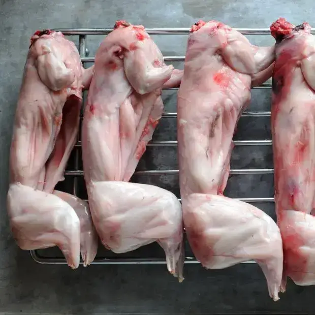 Thịt Thỏ Tươi Làm Sạch Giá Tốt