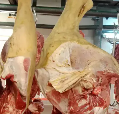 Nạc Đùi Bò Tươi Ngon Giá Sỉ