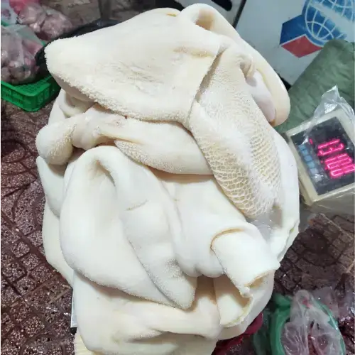 Dạ Dày Bò (Lá Sách) Tươi Ngon Loại 1 Giá Tốt 