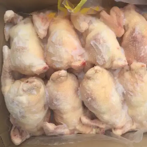 Gà Dai Nguyên Con Đông Lạnh Giá Sỉ