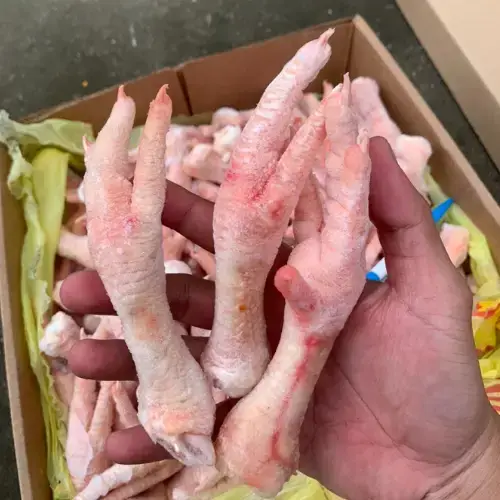 Chân Gà Đông Lạnh Giá Sỉ 