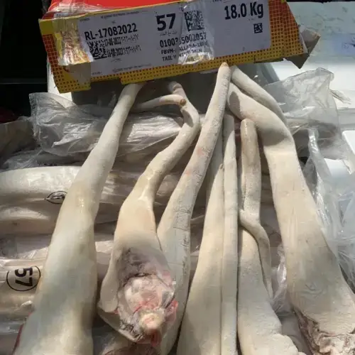 Đuôi Trâu Ấn Độ Đông Lạnh Giá Tốt